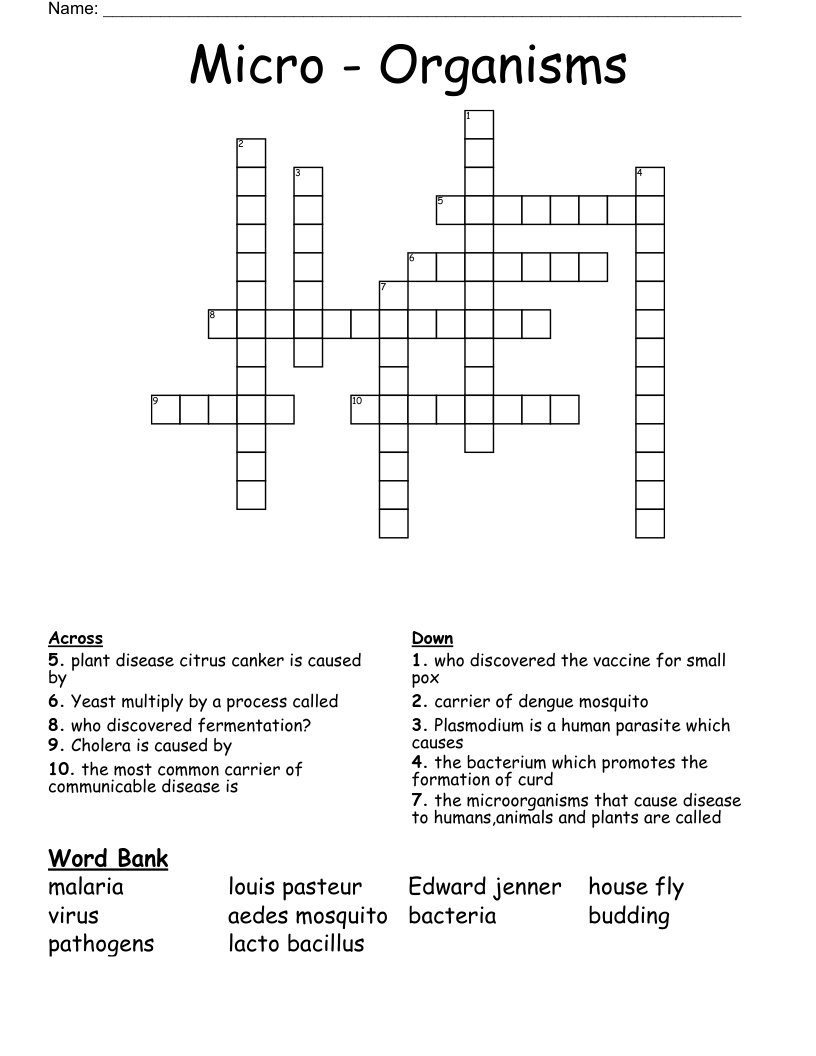 Micro - Organisms  Crossword