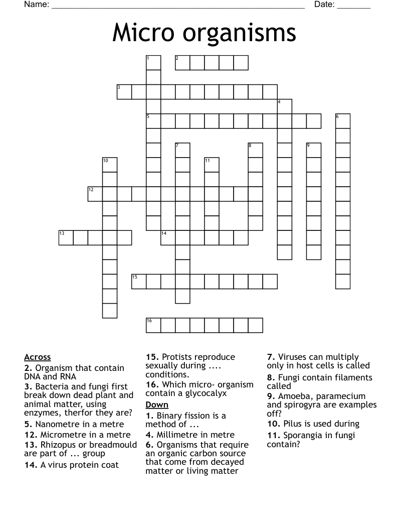 Micro organisms Crossword