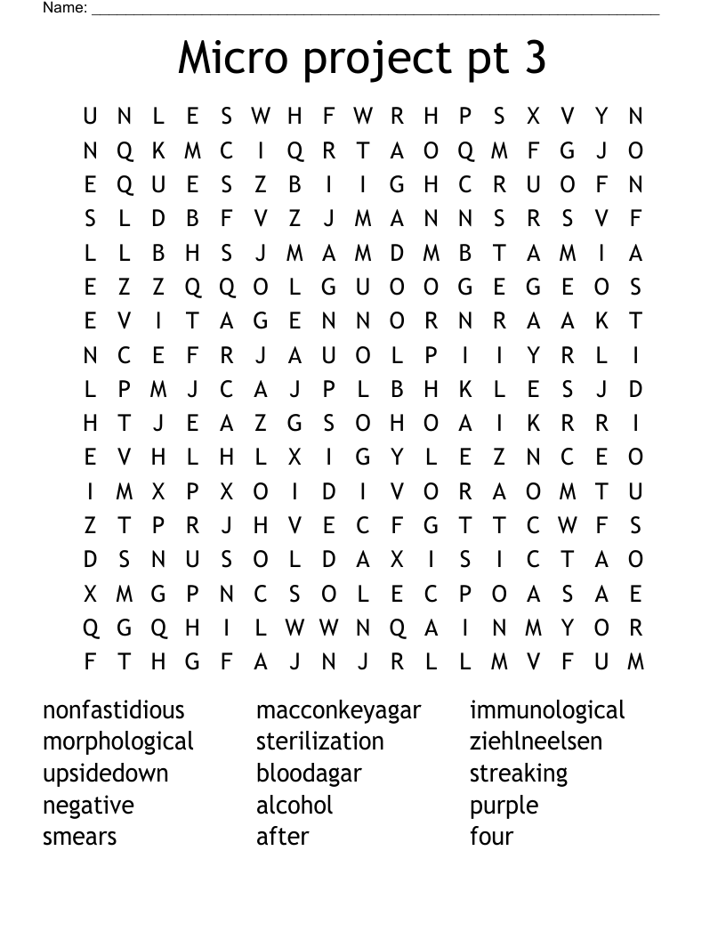 Micro project pt 3 Word Search