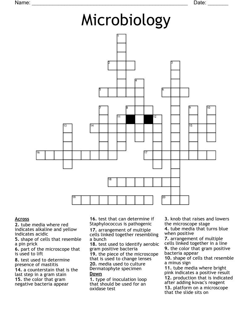Microbiology Crossword