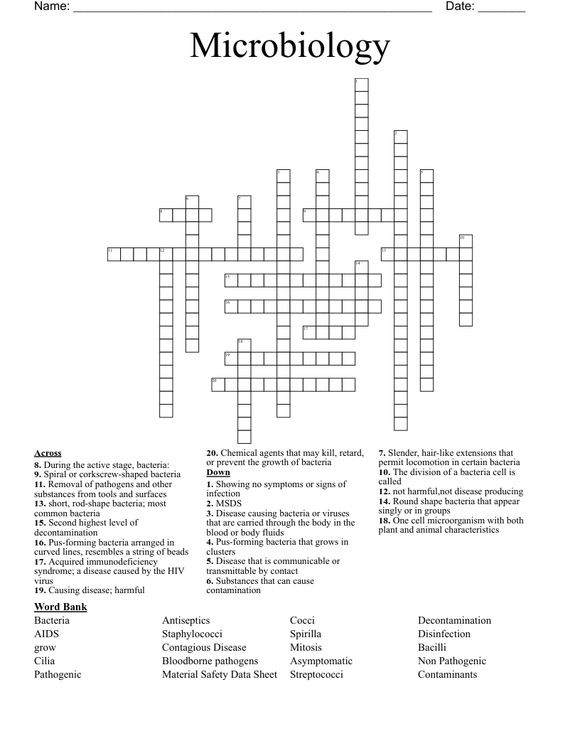 Microbiology Crossword