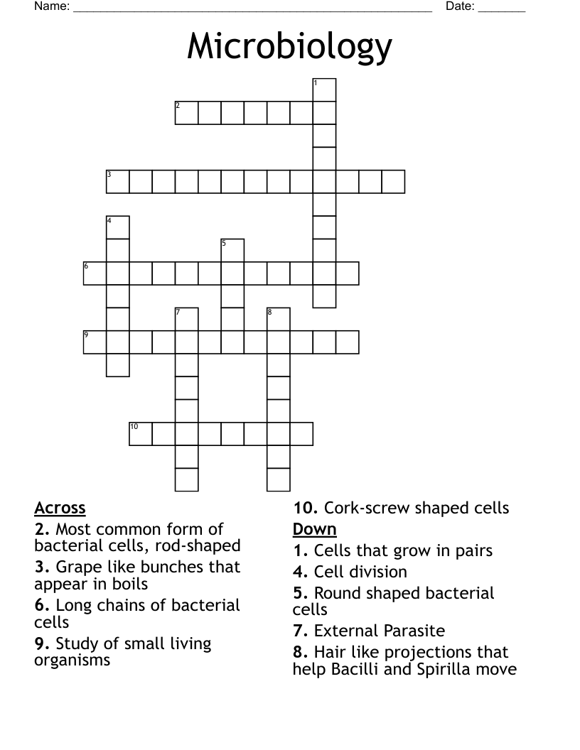 Microbiology Crossword