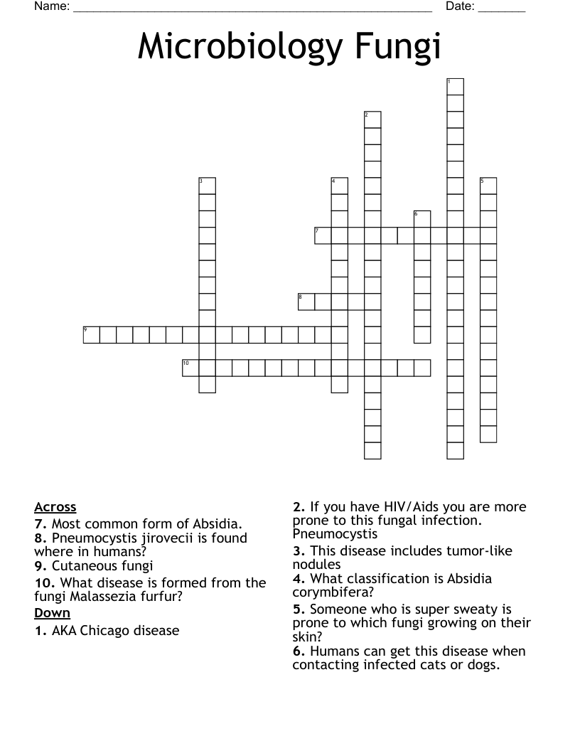 Microbiology Fungi  Crossword