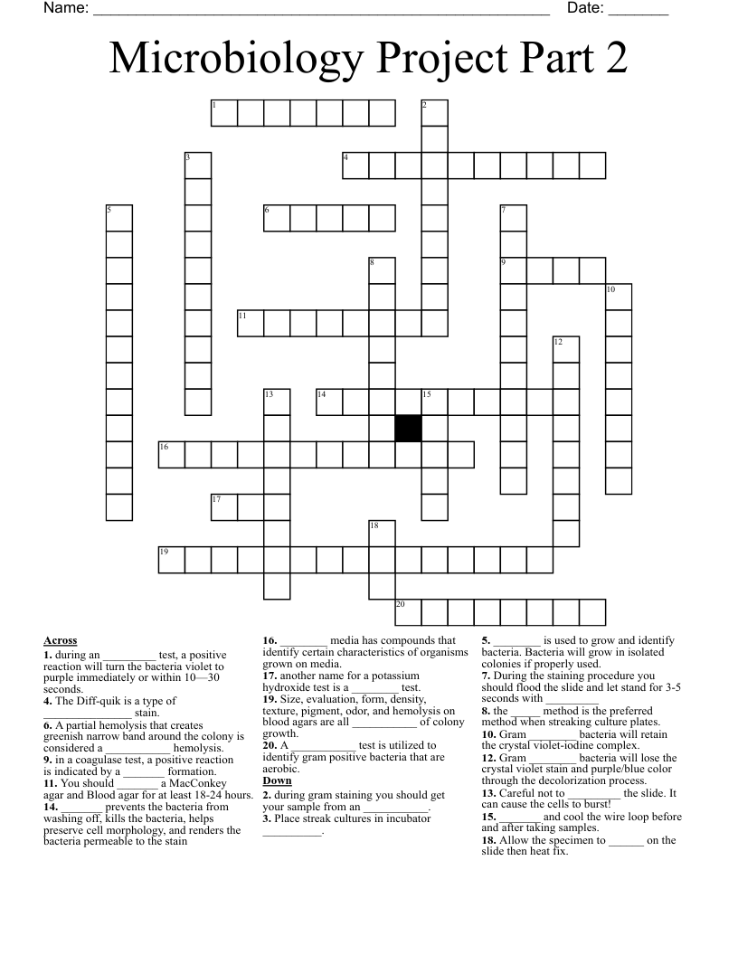 Microbiology Project Part 2 Crossword