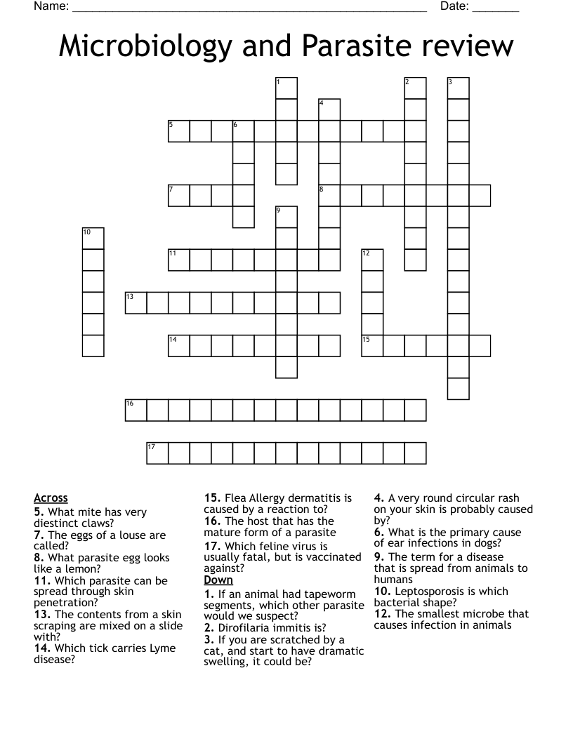 Microbiology and Parasite review Crossword