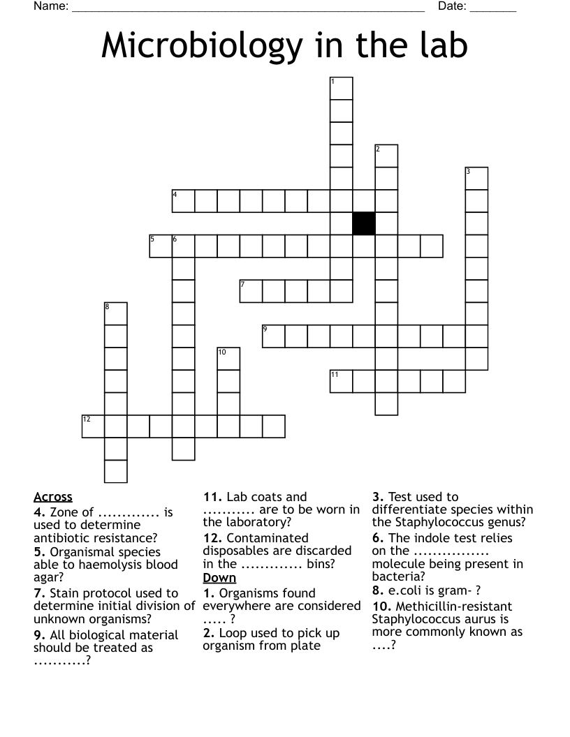 Microbiology in the lab Crossword