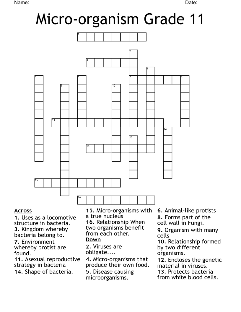 Micro-organism Grade 11 Crossword