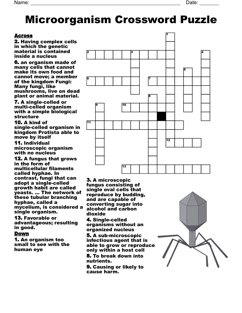 Microorganism Crossword Puzzle