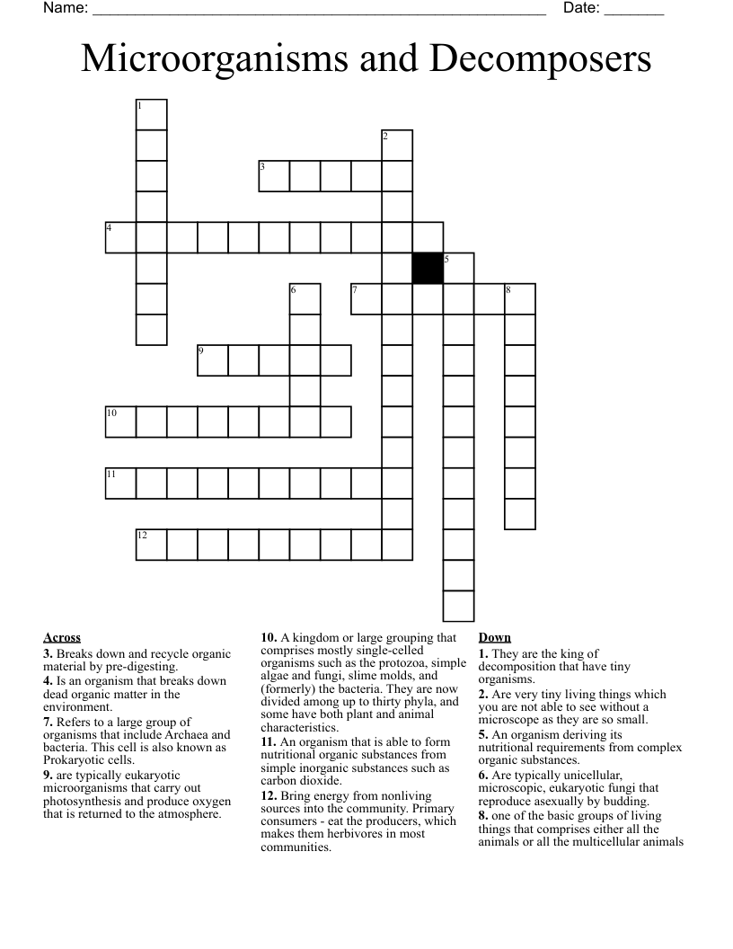 Microorganisms and Decomposers  Crossword