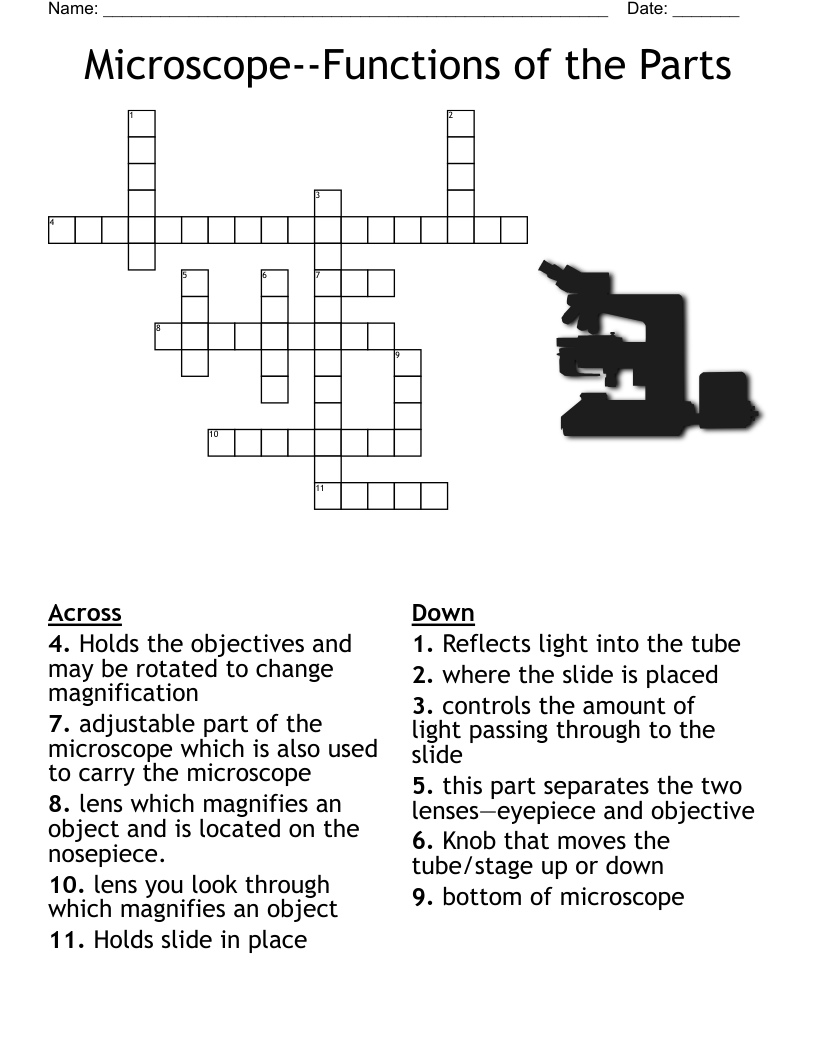 Microscope--Functions of the Parts Crossword