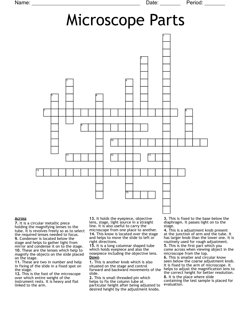 Microscope Parts Crossword
