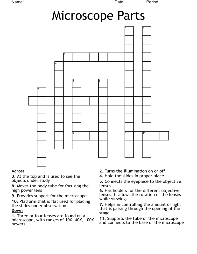 Microscope Parts Crossword