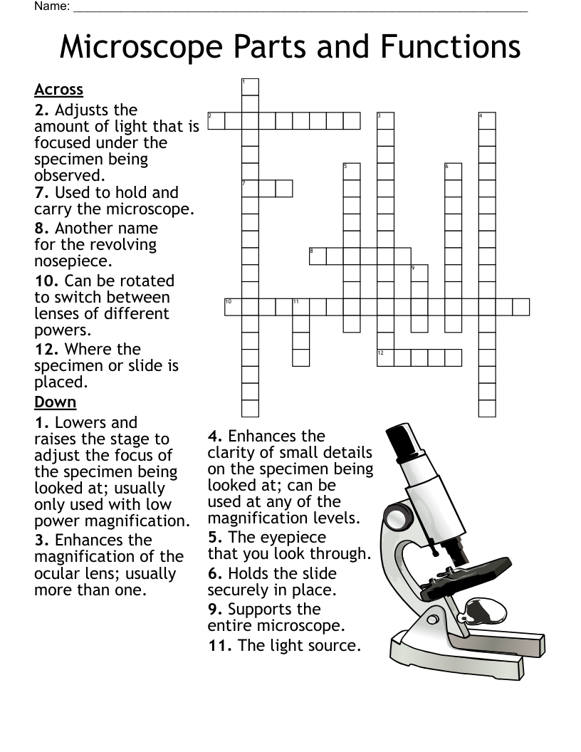 Microscope Parts and Functions Crossword
