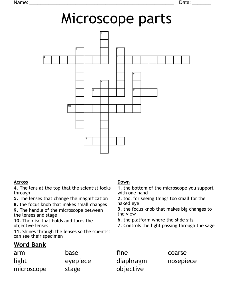 Microscope parts Crossword
