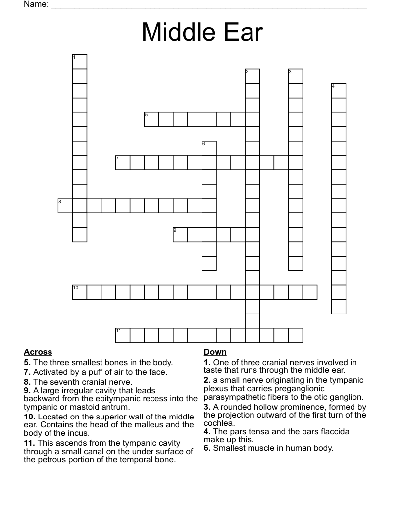 Middle Ear Crossword