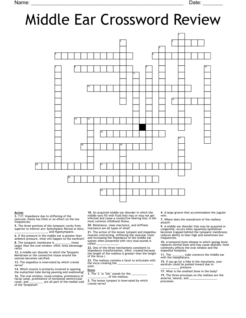 Middle Ear Crossword Review