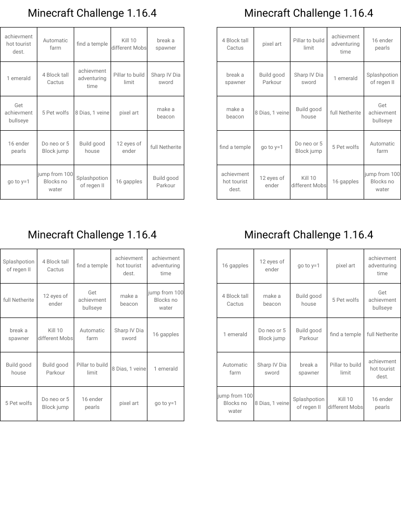 Minecraft Challenge 1.16.4