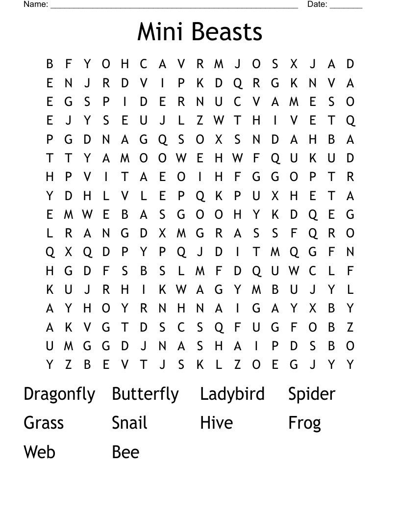 Mini Beasts  Word Search
