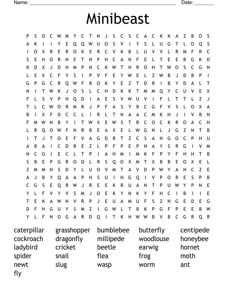 Minibeast Word Search