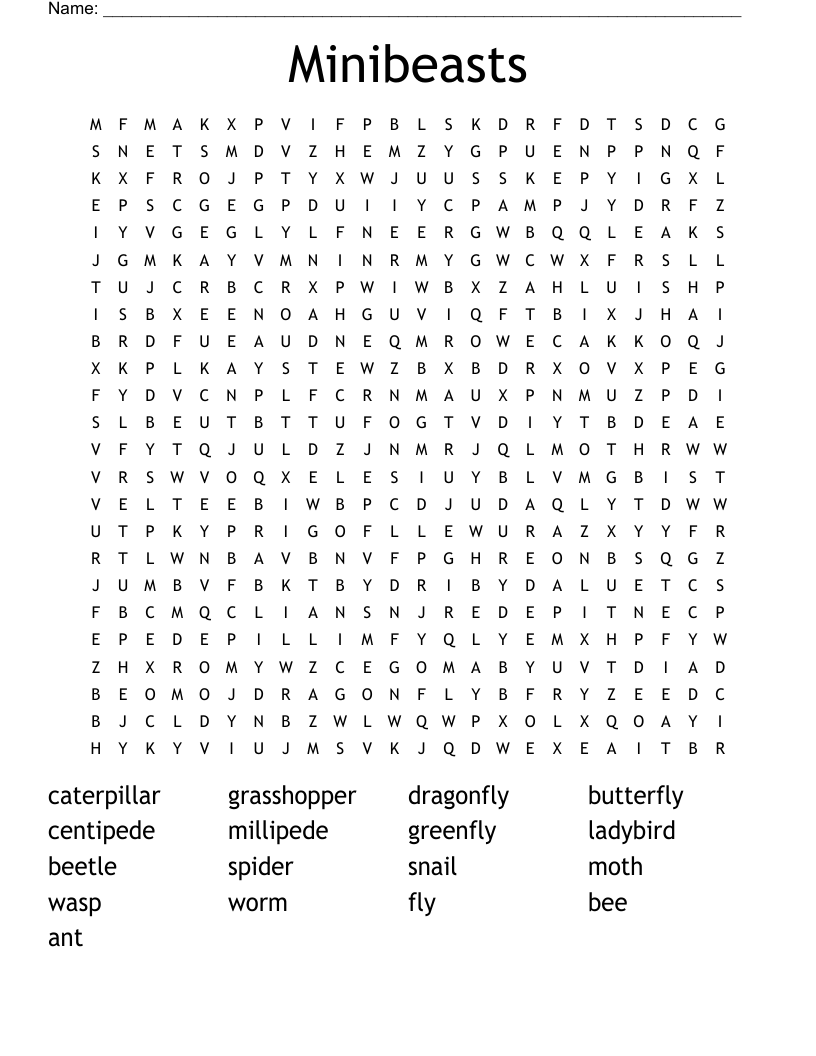 Minibeasts Word Search