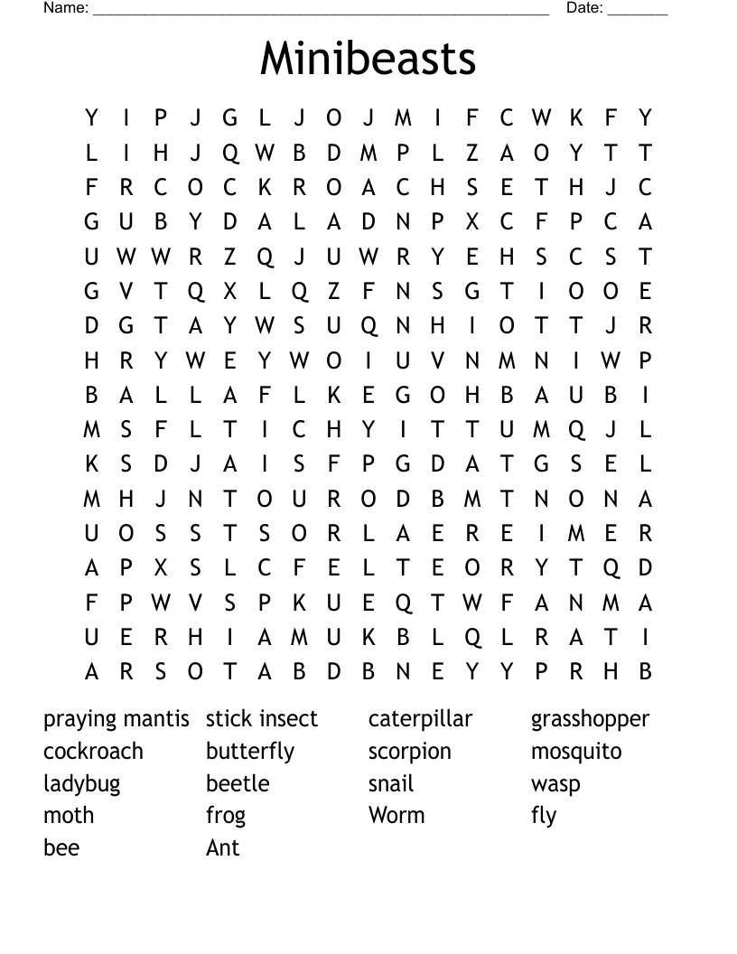 Minibeasts Word Search