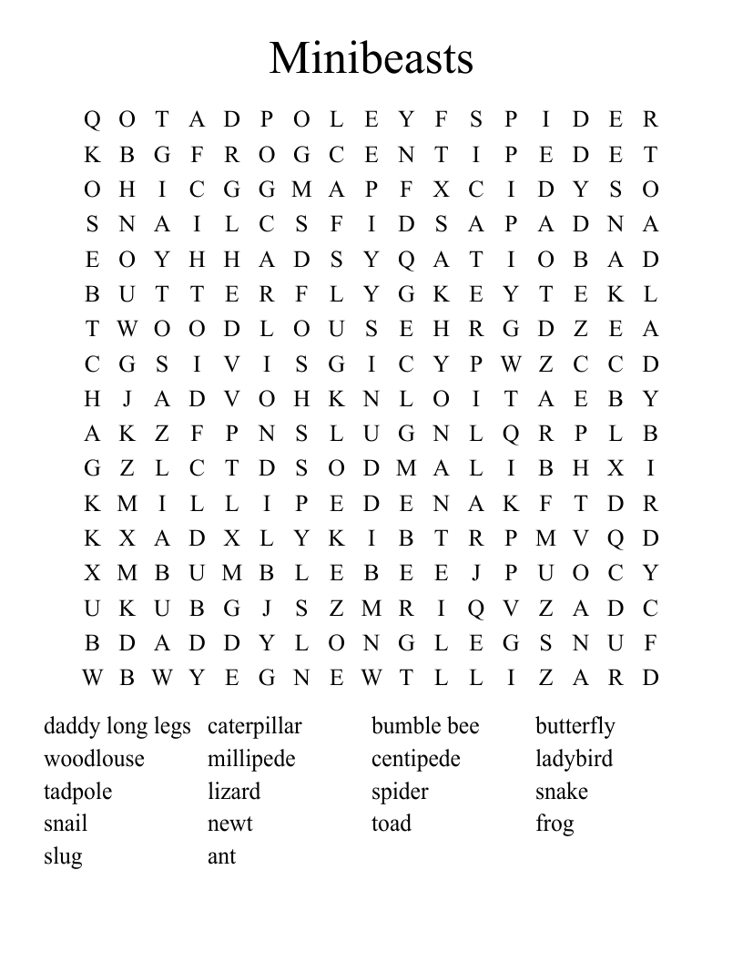 Minibeasts Word Search