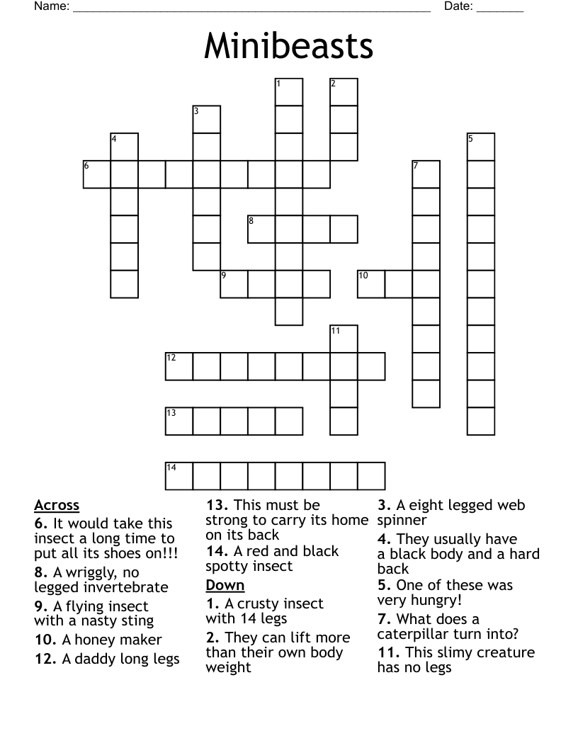 Minibeasts  Crossword