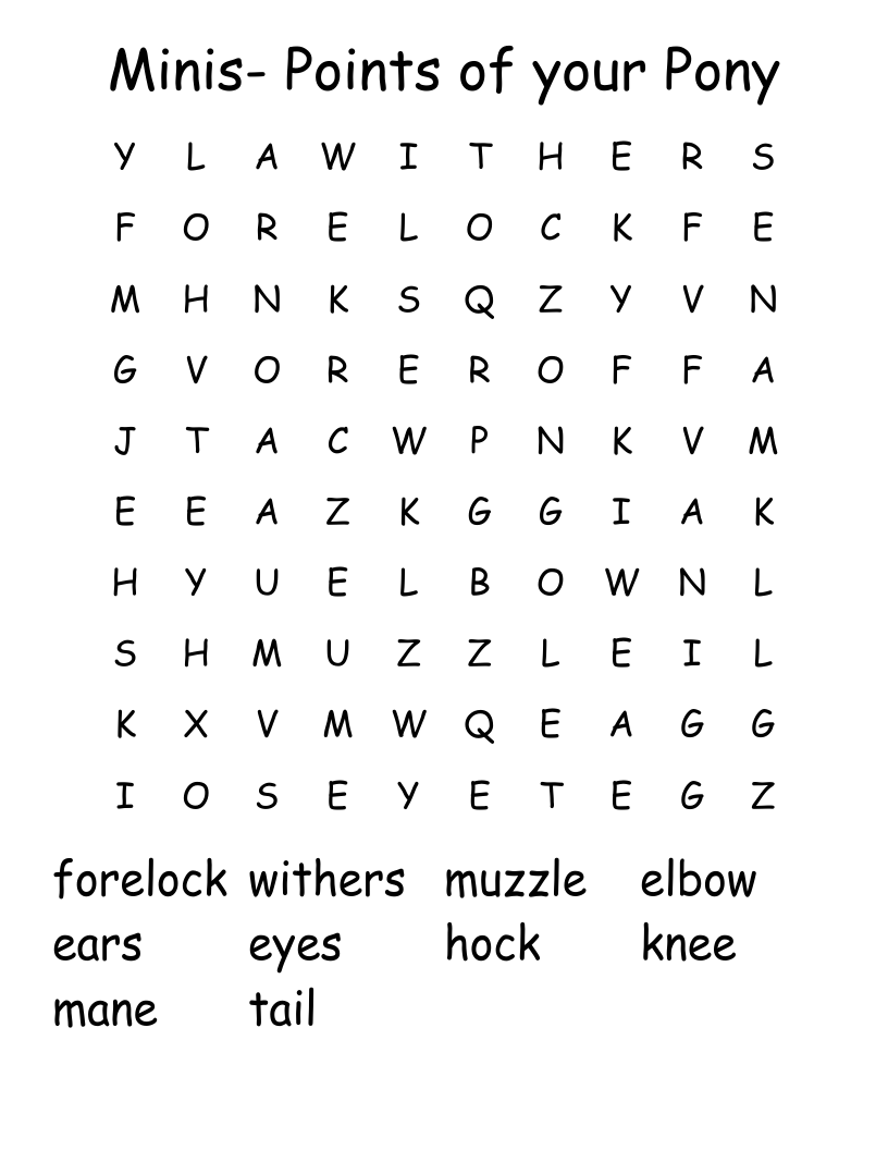 Minis- Points of your Pony Word Search
