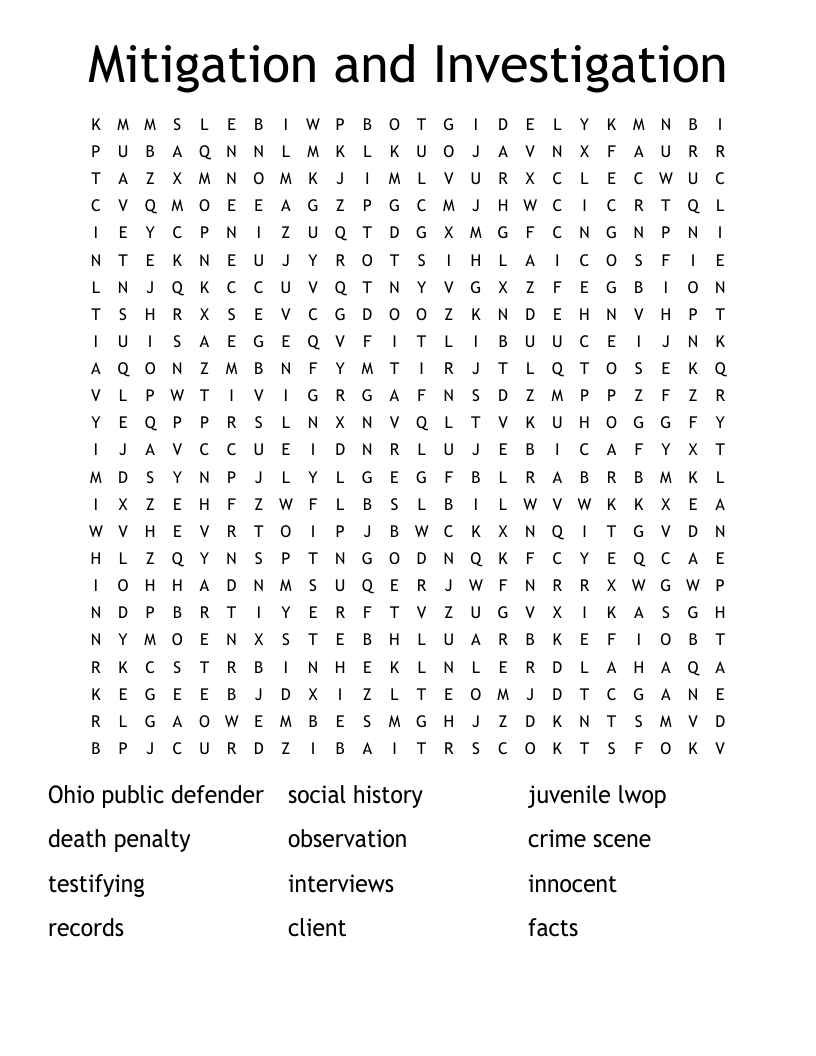 Mitigation and Investigation Word Search