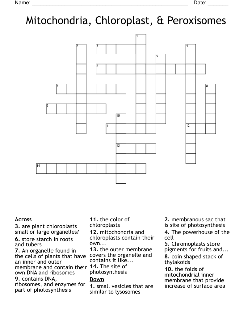 Mitochondria, Chloroplast, & Peroxisomes Crossword