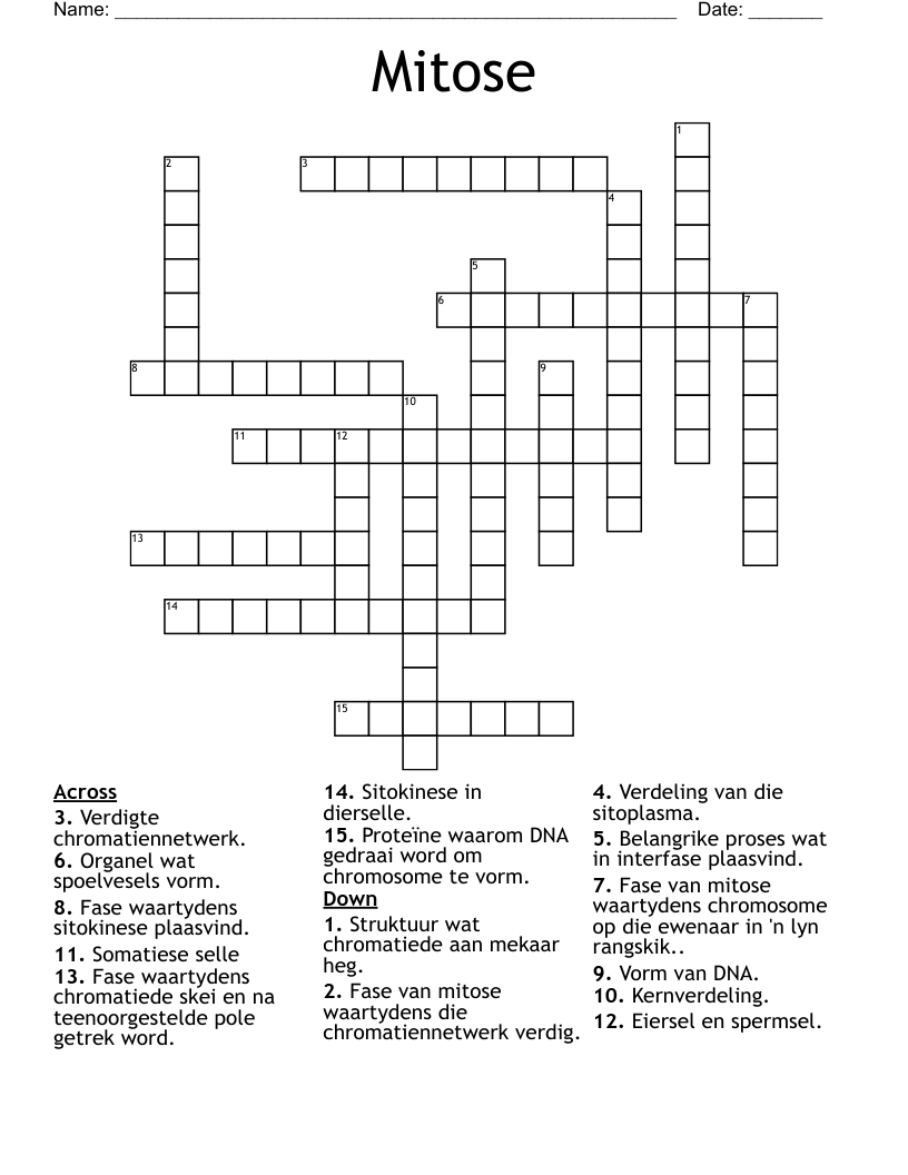 Mitose Crossword