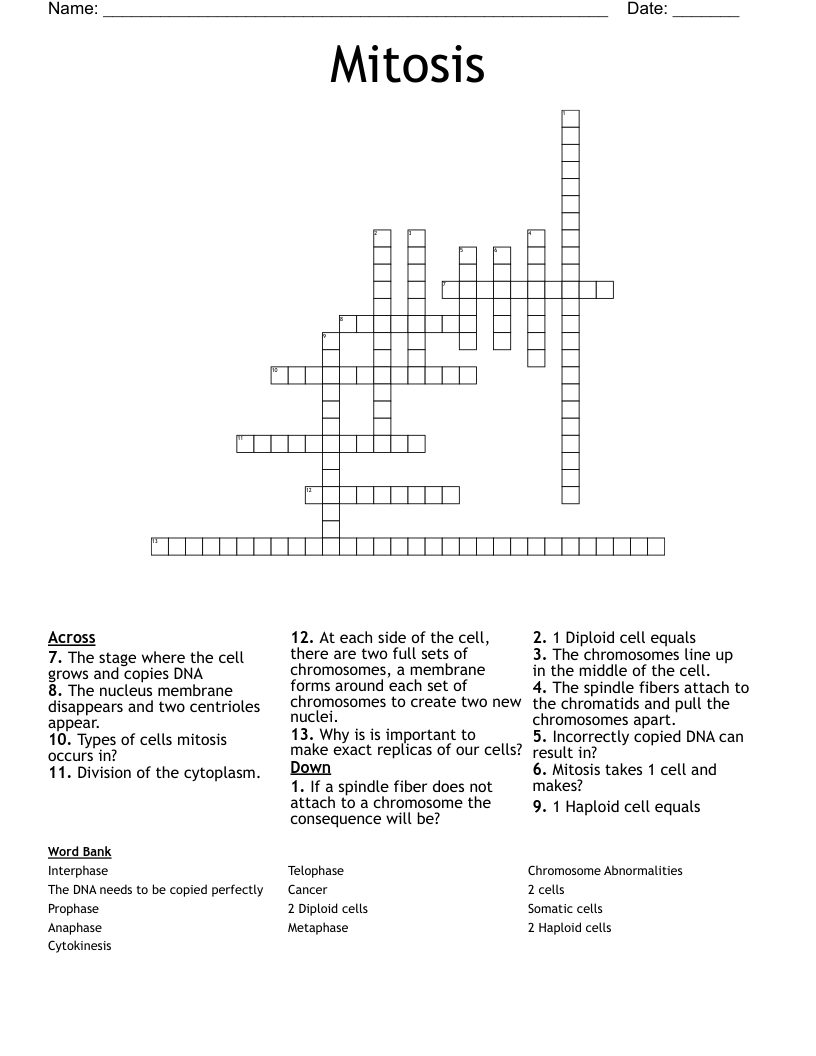 Mitosis Crossword