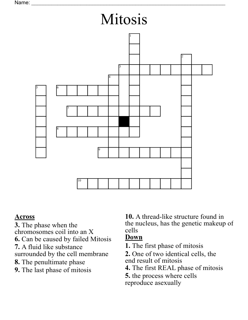 Mitosis Crossword