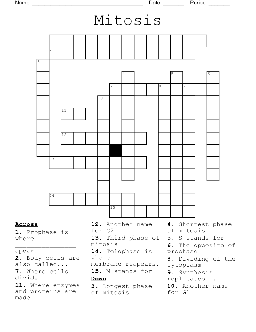 Mitosis Crossword