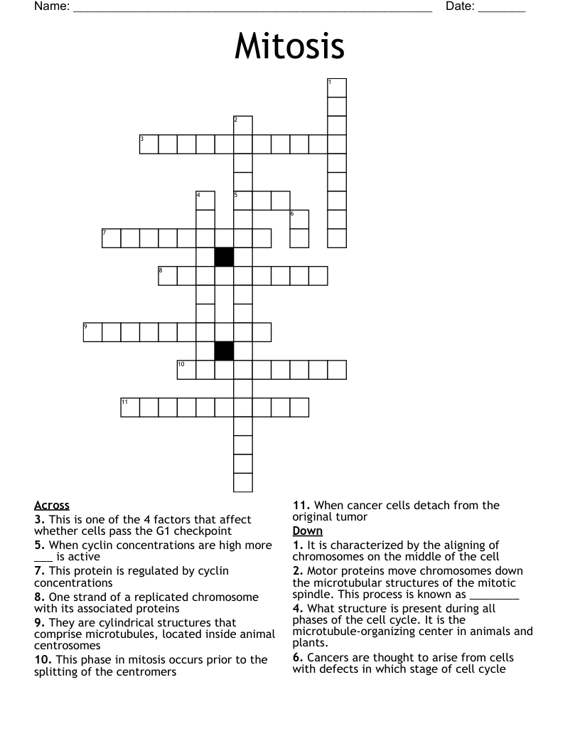 Mitosis Crossword