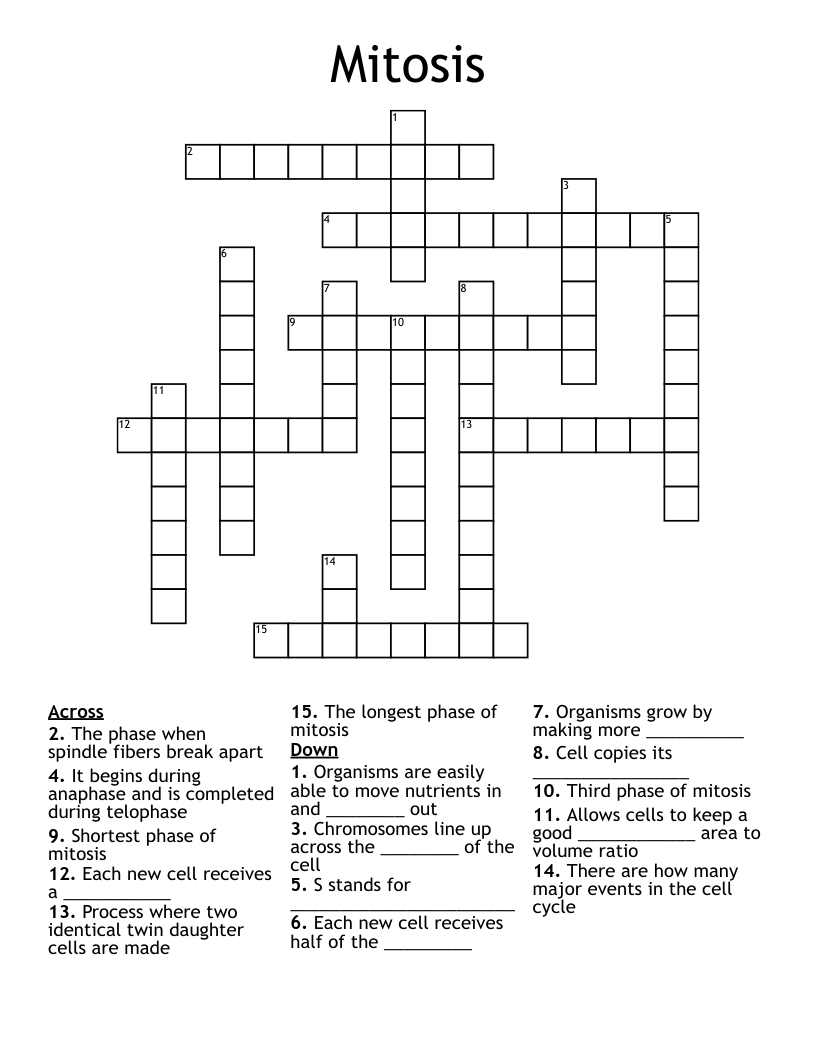 Mitosis Crossword