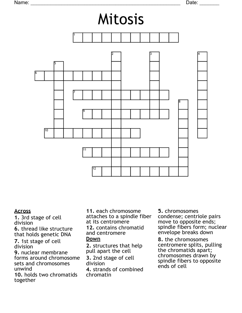 Mitosis Crossword