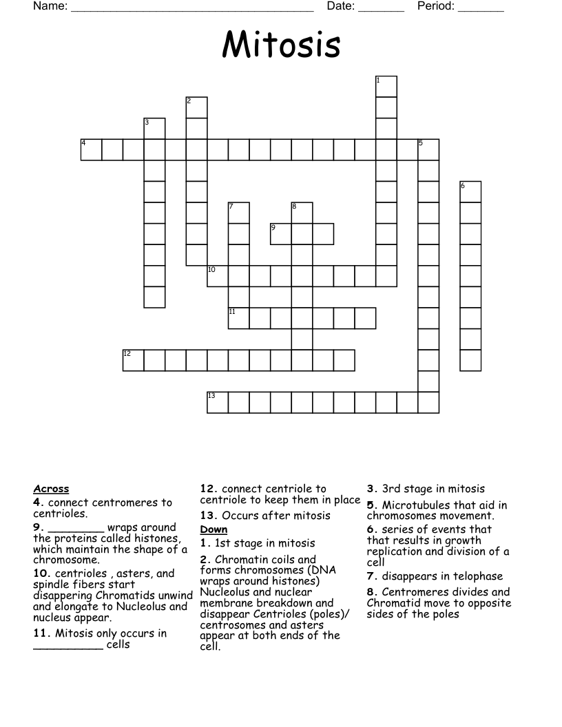 Mitosis Crossword