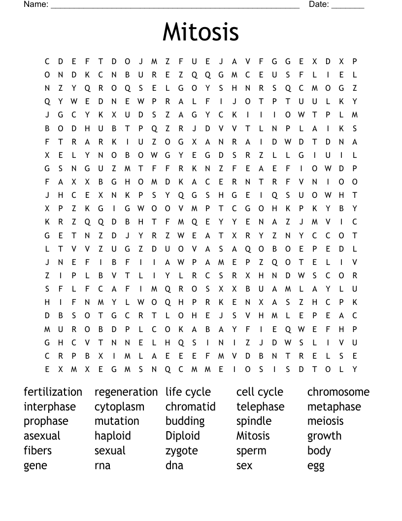 Mitosis Word Search