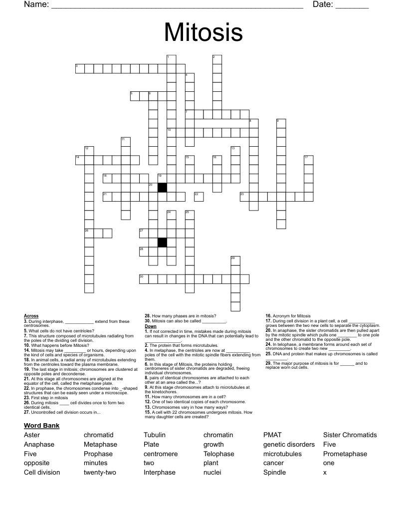 Mitosis Crossword
