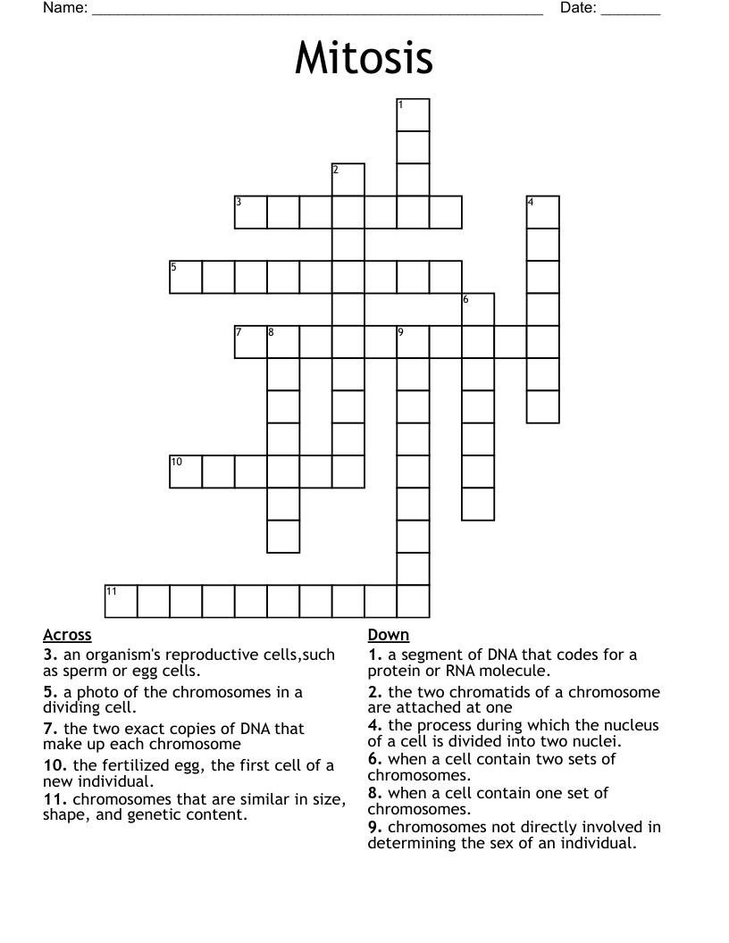 Mitosis Crossword
