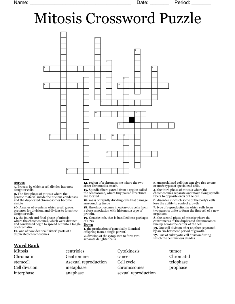 Mitosis Crossword Puzzle