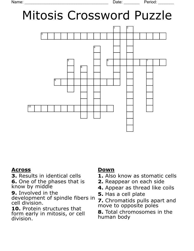 Mitosis Crossword Puzzle 