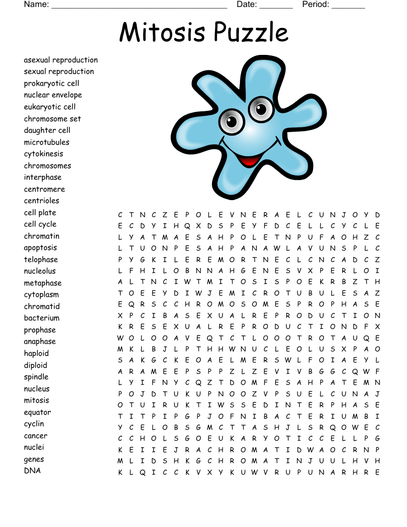 Mitosis Puzzle Word Search