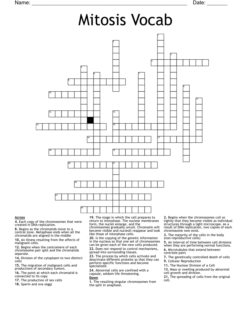 Mitosis Vocab  Crossword