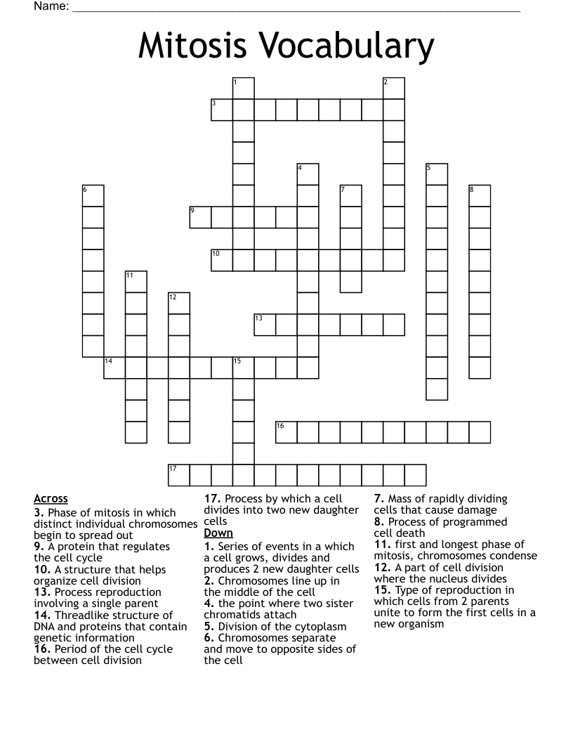 Mitosis Vocabulary Crossword