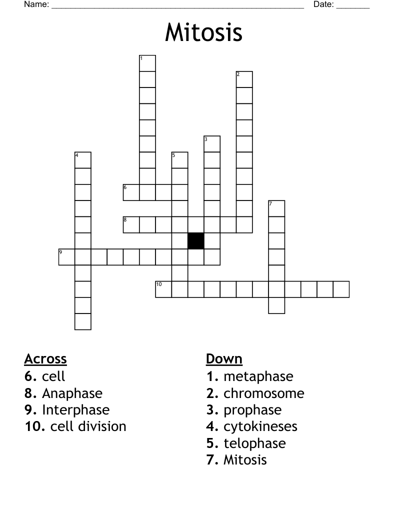 Mitosis  Crossword