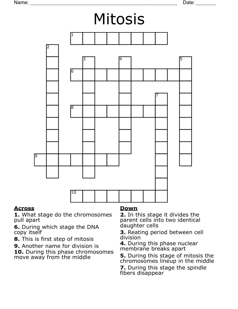 Mitosis  Crossword