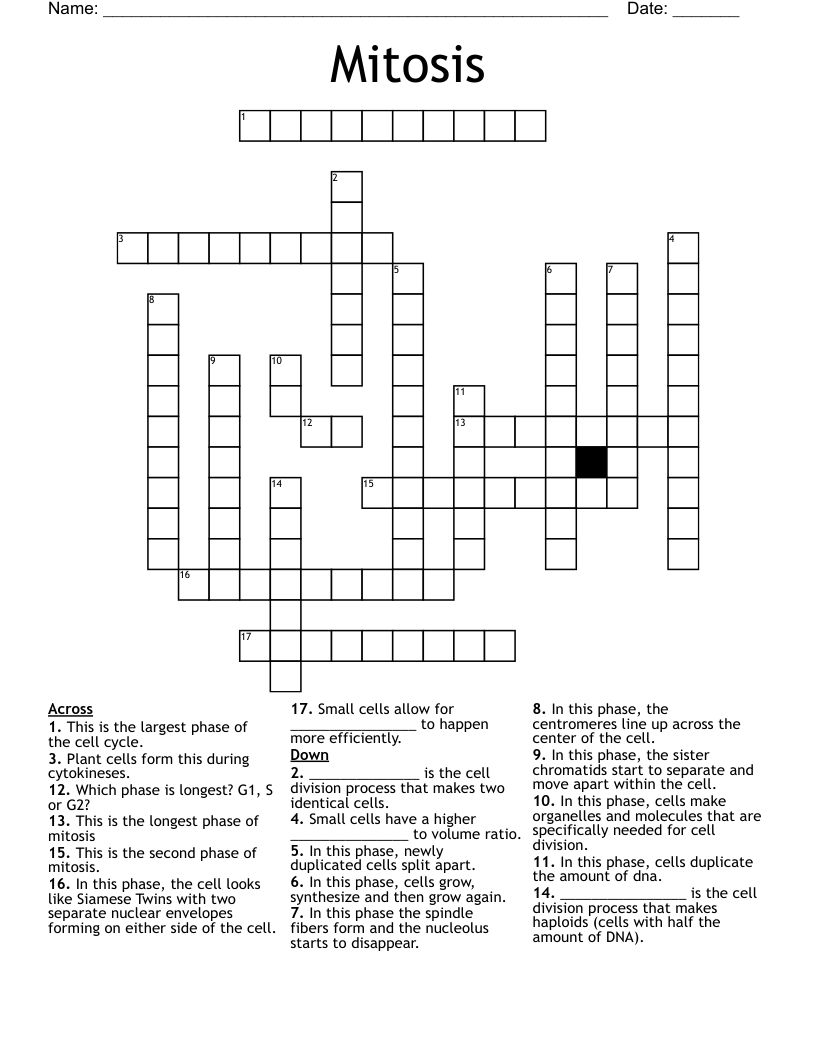 Mitosis  Crossword