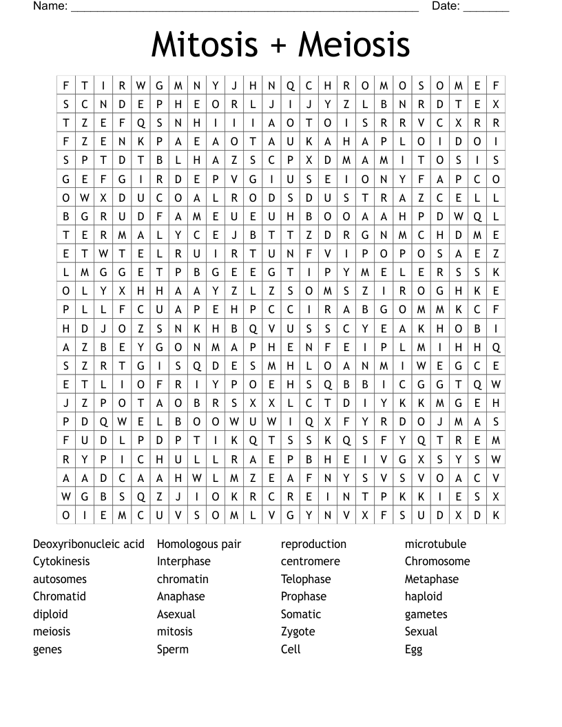 Mitosis + Meiosis Word Search